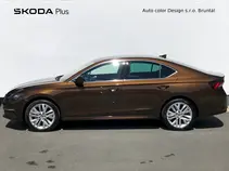 Octavia Exclusive Selection