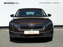 Octavia Exclusive Selection