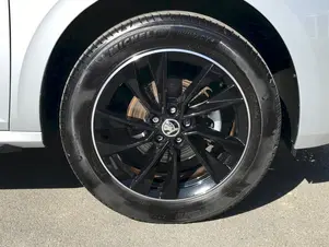 Škoda Kamiq Monte Carlo