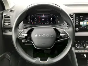 Škoda Karoq Top Selection
