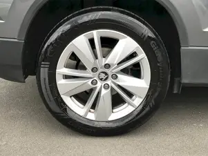 Škoda Karoq Top Selection