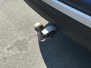 Škoda Kodiaq Exclusive Selection