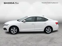 Octavia 