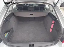 Octavia