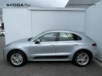 Macan 
