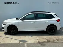 Kamiq Monte Carlo