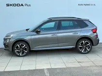 Kamiq Monte Carlo