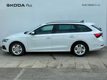 Octavia Ambition