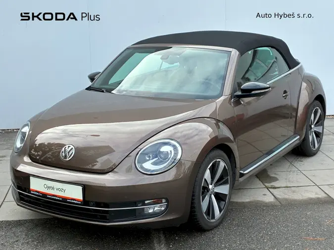 Beetle 