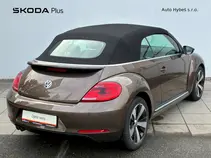 Beetle 