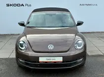 Beetle 