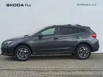 XV