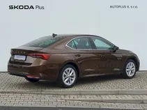 Octavia Top Selection