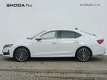 Octavia Exclusive Selection