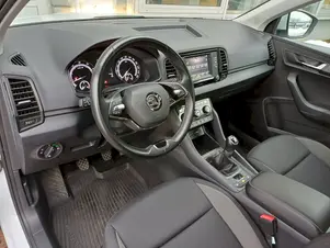 Škoda Karoq Drive