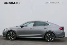 Octavia Exclusive Selection