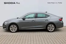 Octavia Top Selection