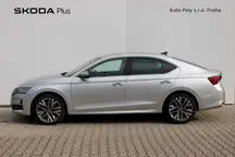 Octavia Exclusive Selection