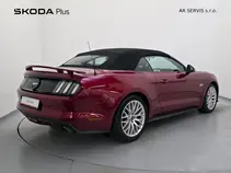 Mustang