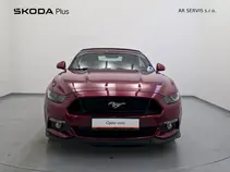Mustang 