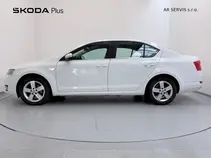 Octavia Elegance