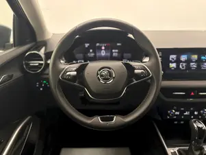 Škoda Fabia Top Selection