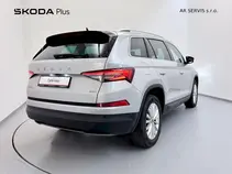 Kodiaq Style