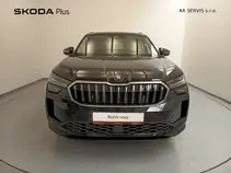 Kodiaq Exclusive Selection