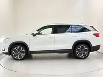 Kodiaq Exclusive Selection