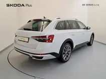 Superb Scout