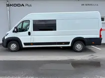 Boxer