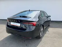 Octavia Top Selection