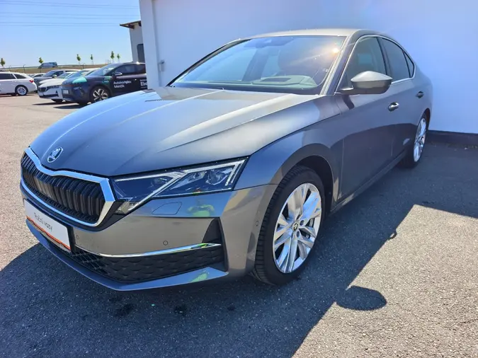 Octavia Top Selection