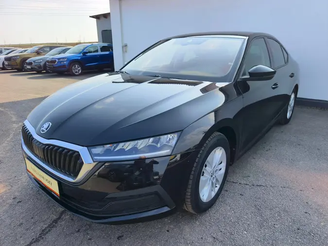 Octavia Ambition Plus