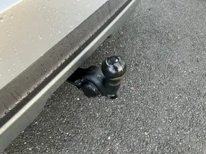 Škoda Kamiq Top Selection