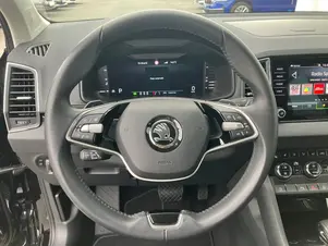 Škoda Karoq Top Selection