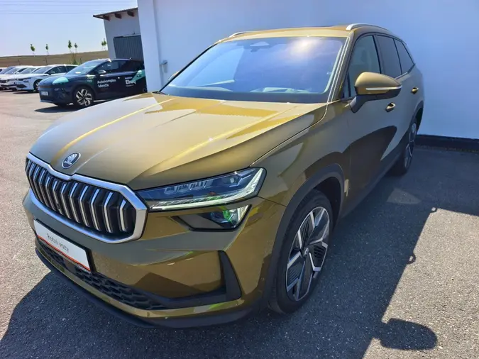 Kodiaq Exclusive Selection
