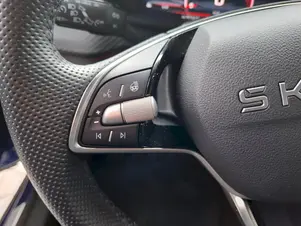 Škoda Kamiq Monte Carlo