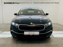 Octavia Exclusive Selection