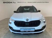 Kamiq Monte Carlo