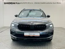Kamiq Monte Carlo