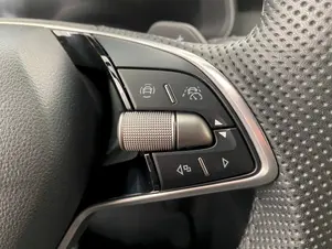 Škoda Kamiq Monte Carlo