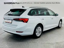 Octavia Ambition