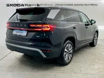 Kodiaq Exclusive Selection