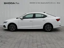 Octavia