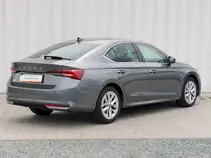 Octavia Top Selection