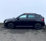 Kamiq Monte Carlo