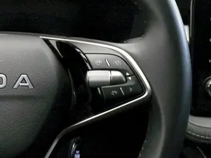 Škoda Fabia Top Selection