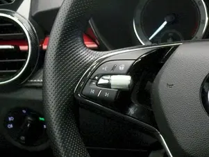 Škoda Fabia Monte Carlo