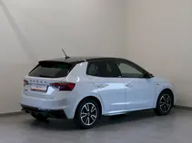 Fabia Monte Carlo